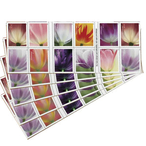 Forever Stamps First Class Postage Stamps Tulip Blossoms 100pcs/Pack ~5 Sheets of 20 (100 total mailing stamps) - Forever Stamps - Forever Stamps Roll