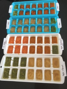 Baby Food Storage and Preparation and Cooking Hints and Ideas