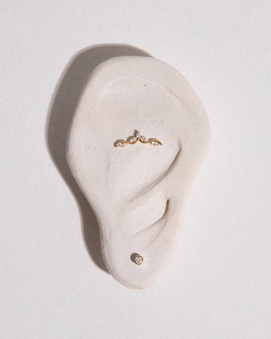 piercing-bezel-page.jpg__PID:dc0e20bd-3ccb-49d0-a555-19c882495efc