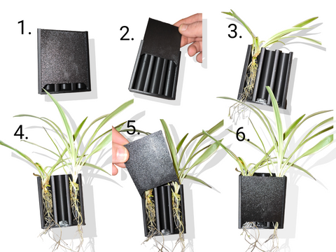 This is how the Aquakallax Aquaponic plant holder is operated