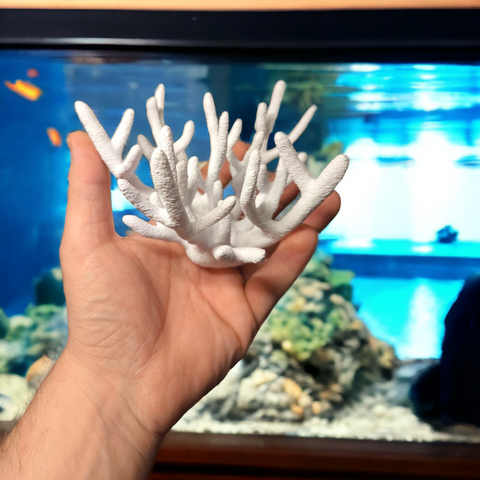 Acropora Millepora Magnet Koralle