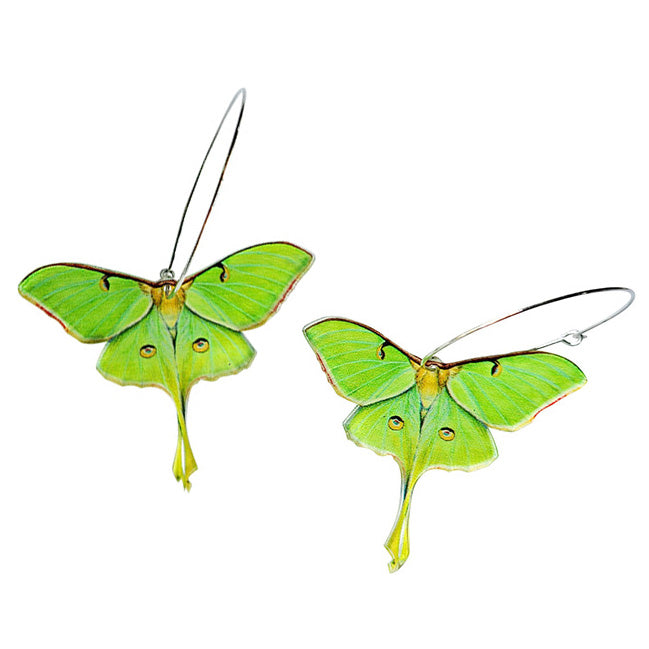 Eyed Green Butterfly Earrings