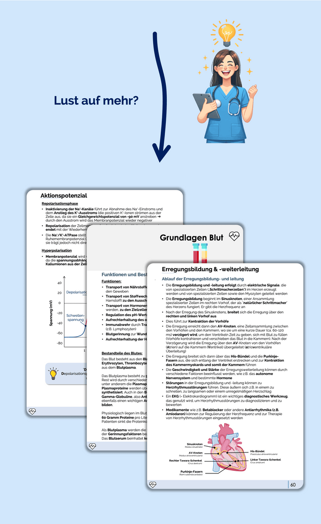 Physiologie-Skript