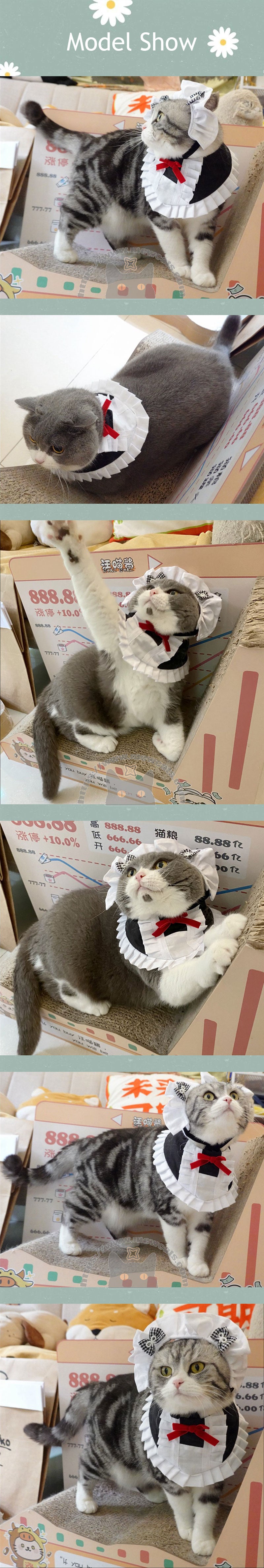 Maid Cat Cosplay Costume Cute Collar Bib