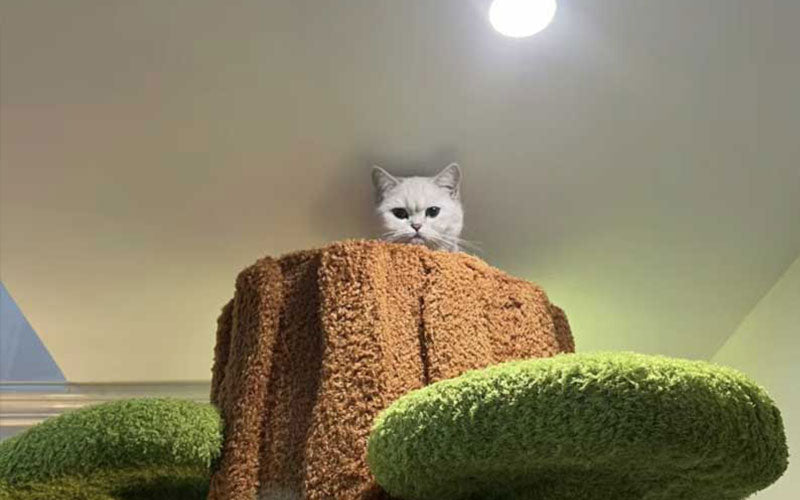 https://www.mewcats.com/products/luxury-simulation-solid-wood-sisal-bed-for-multiple-cat-tree