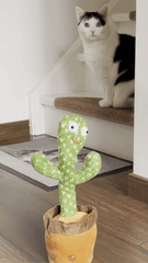 MOLOO-Cactus-Speelgoed