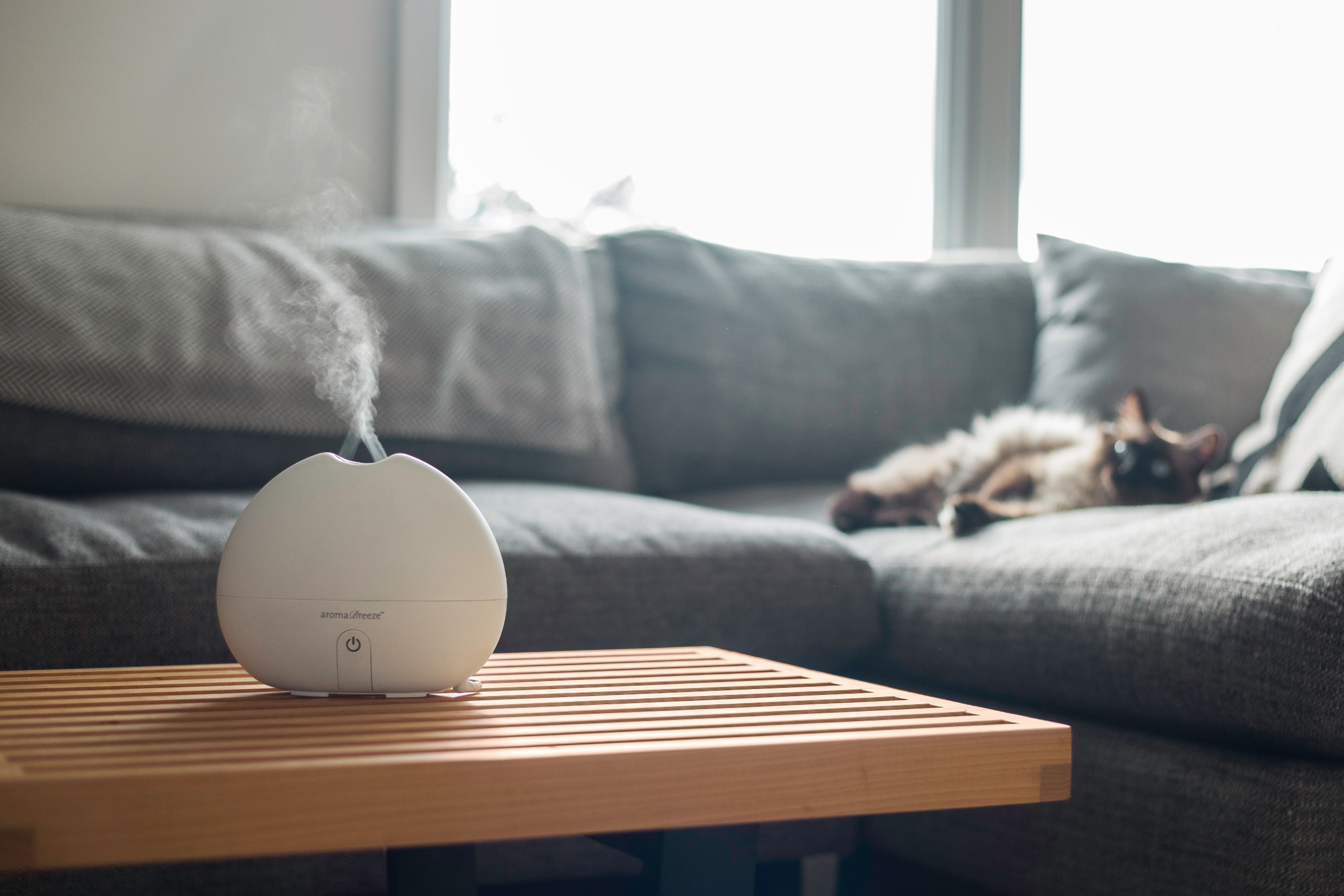 An aroma breeze diffuser sitting on a coffee table