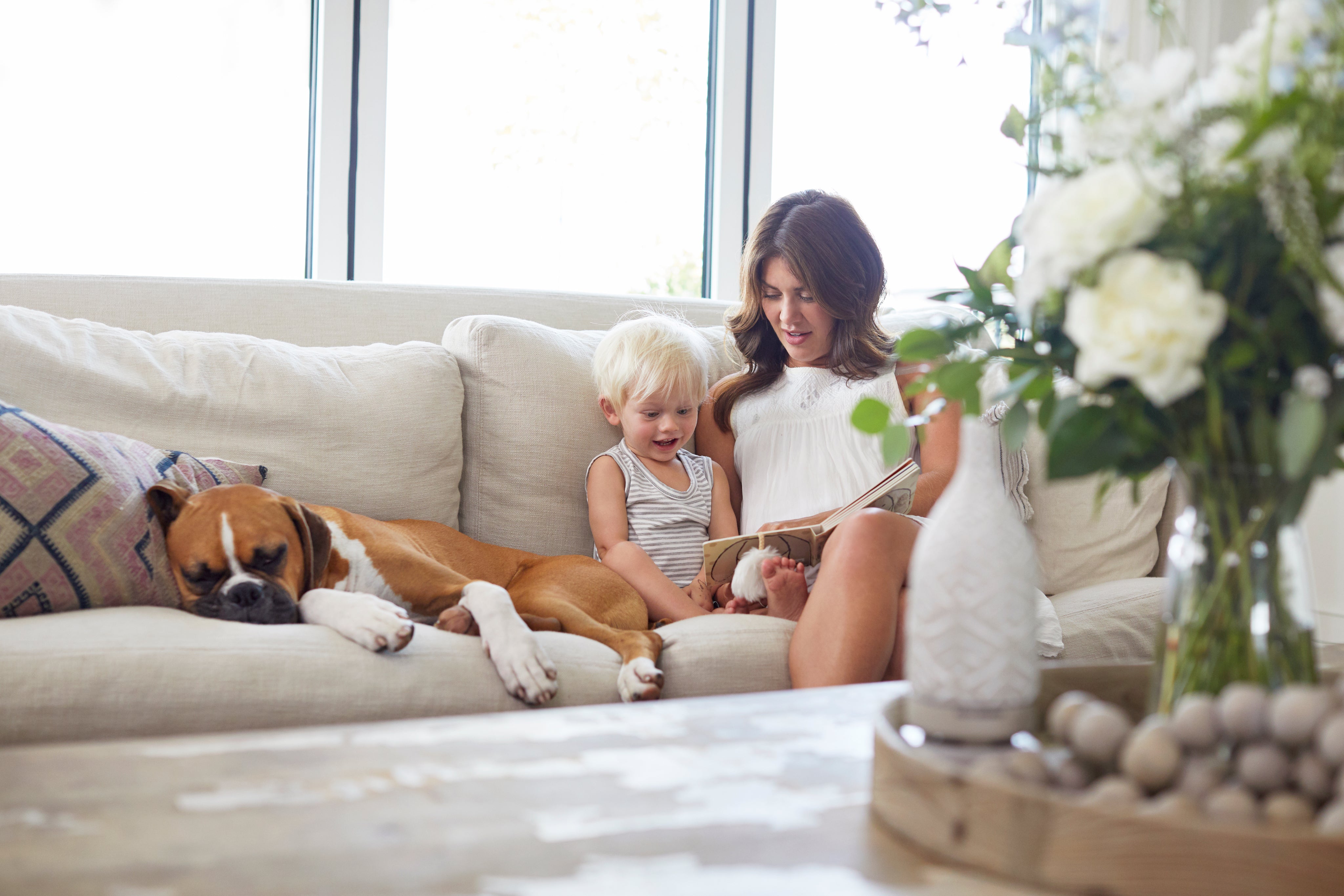 Jillian Harris sitting on a couch with her son and dog