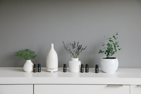 Aroma Om diffuser and essential oil diffuser blends on a white dressers surrounded by plants