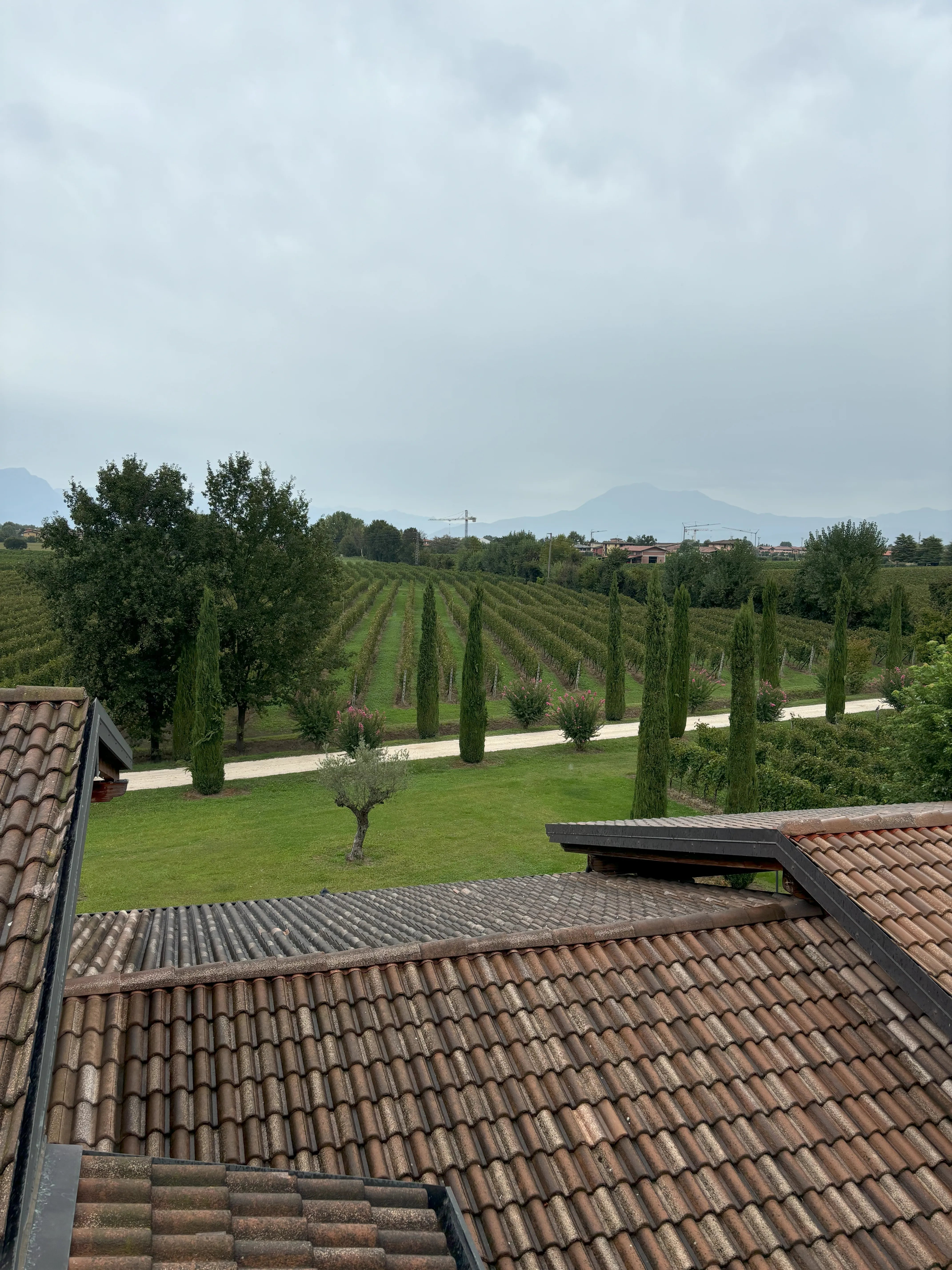 Außenansicht des Weinguts Casello Bondoni – Typisch italienische, ländliche Architektur des Weinguts Casello Bondoni in der Lombardei, umgeben von Natur, nahe dem Gardasee.