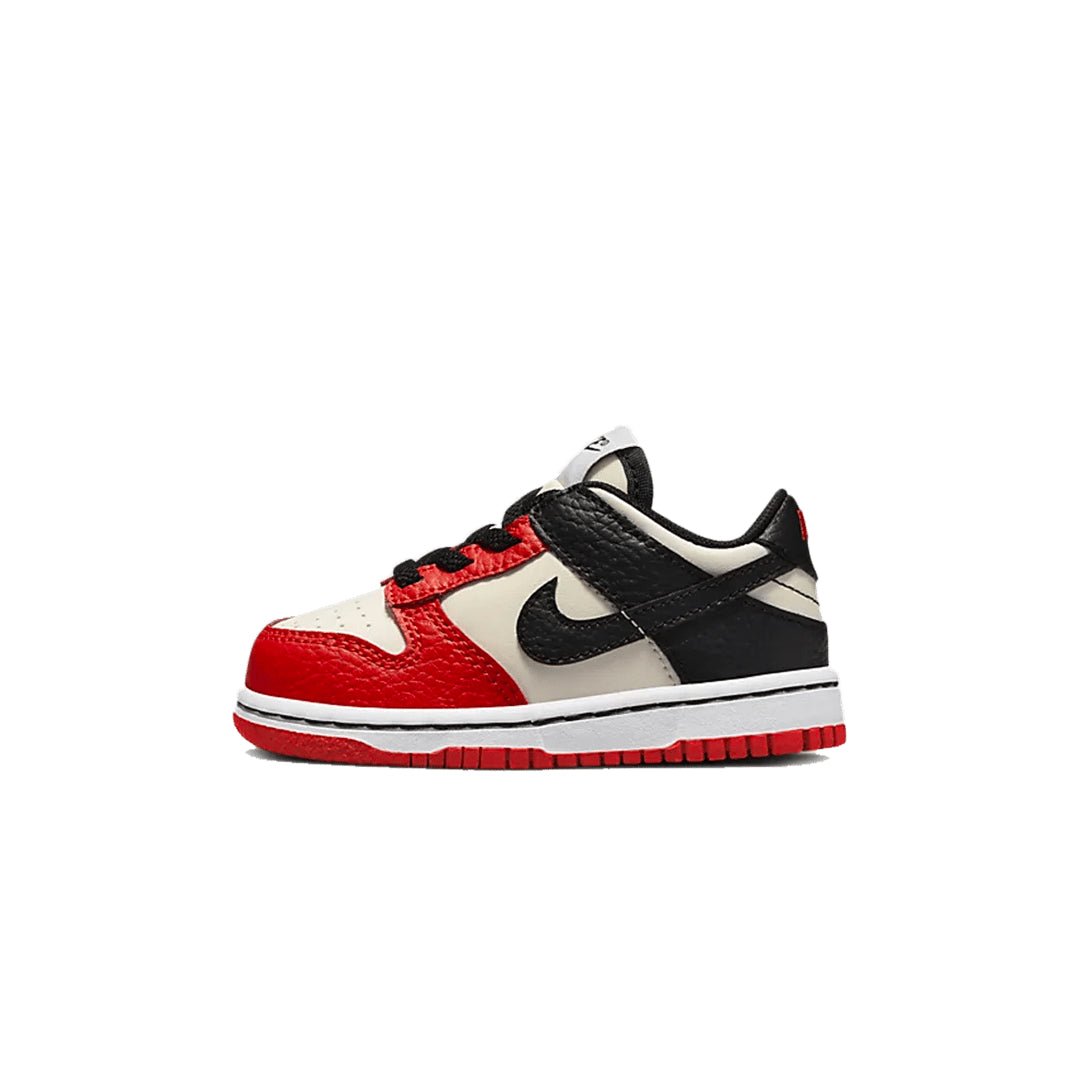 Nike Dunk Low EMB NBA 75th Anniversary Chicago GS