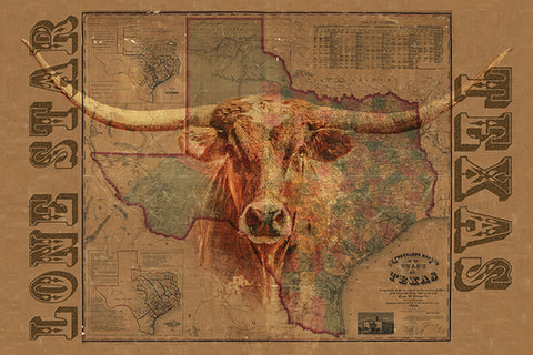 longhorn cow and old Texas map