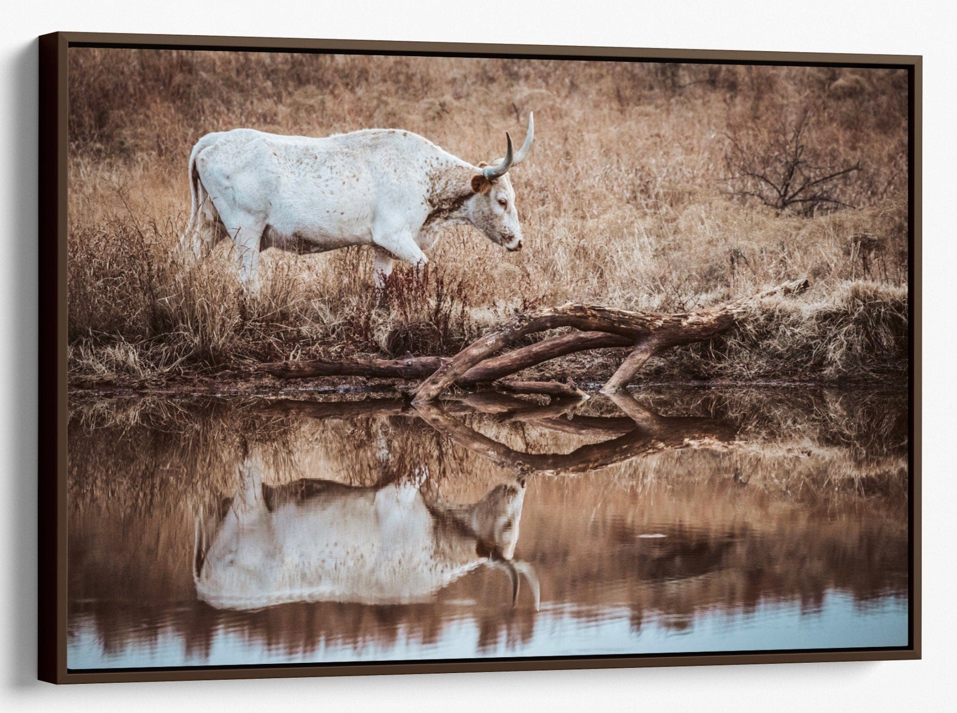 Teri James Photography Wall Art Canvas-Walnut Frame / 12 x 18 Inches Western Living Room Longhorn Art