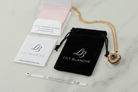 lily blanche jewellery care kit