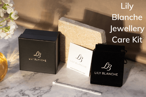 lily blanche jewellery care kit