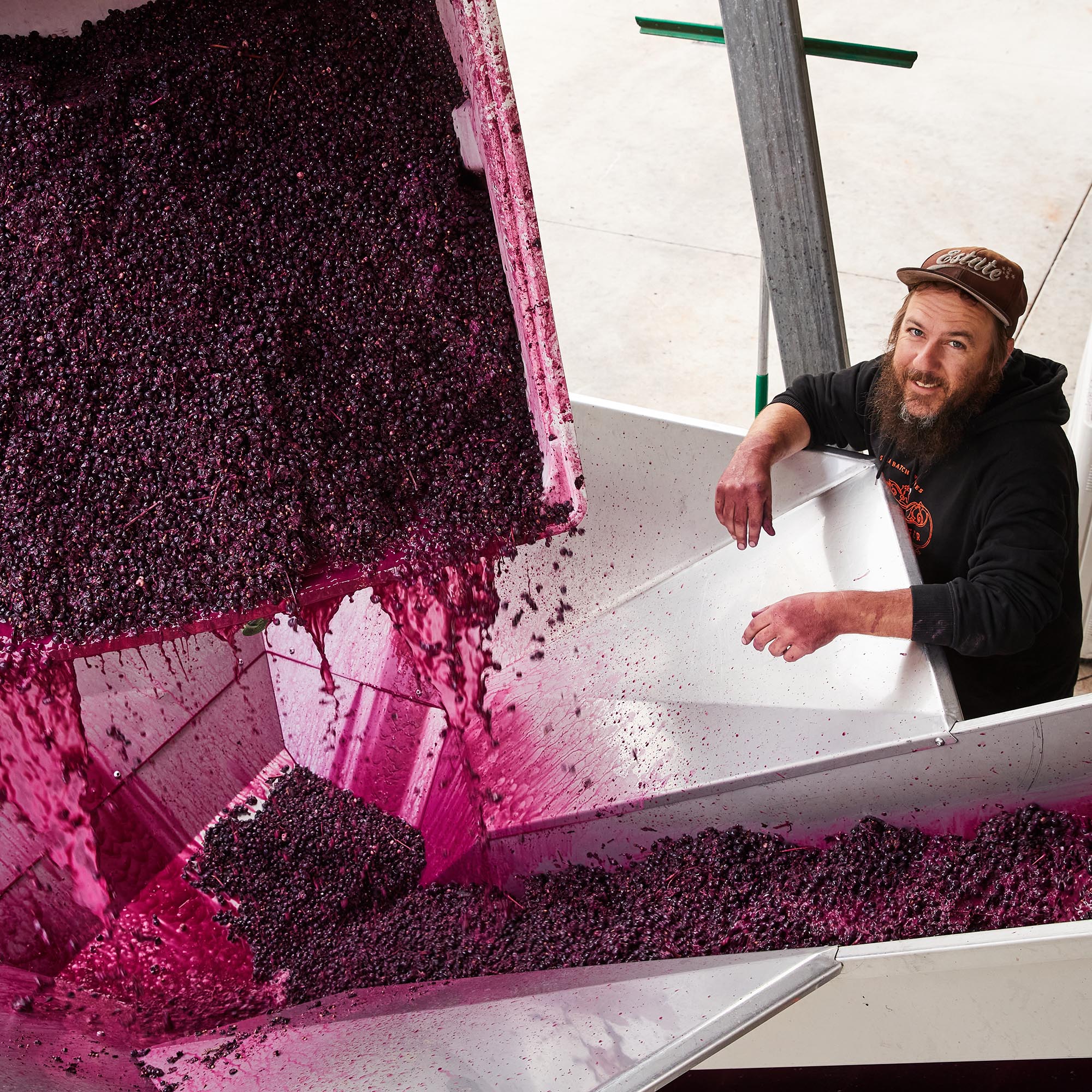 Winemaker Hadyn Black working with Lambrusco grapes during vintage 2022