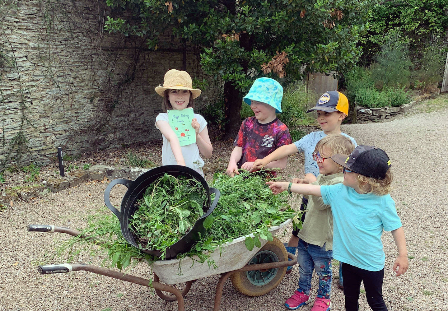 Children with a wheelbarrow full of weeds at Arlington Court National Trust