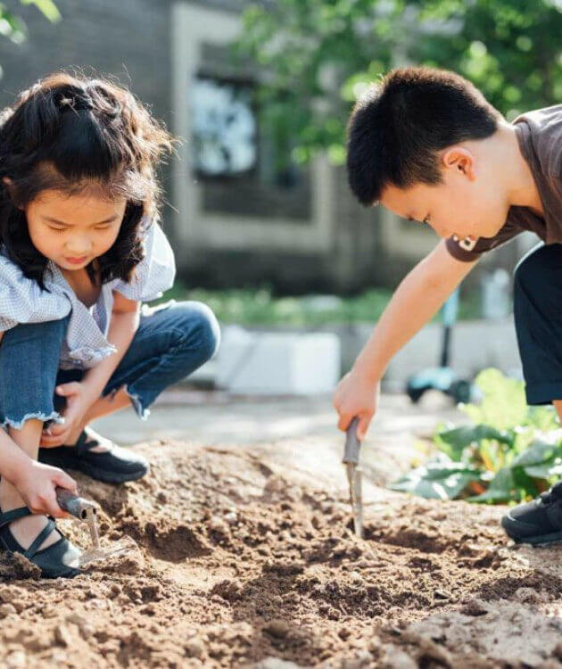 Two children, a girl and a boy, digging in the dirt with shovels