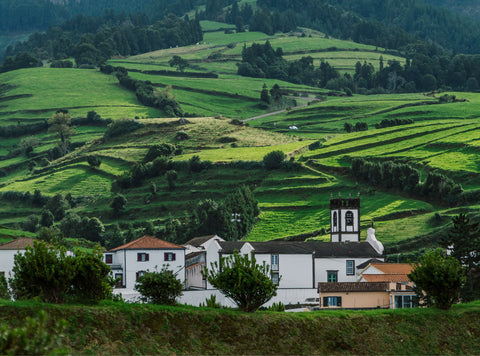 Portugal Farms