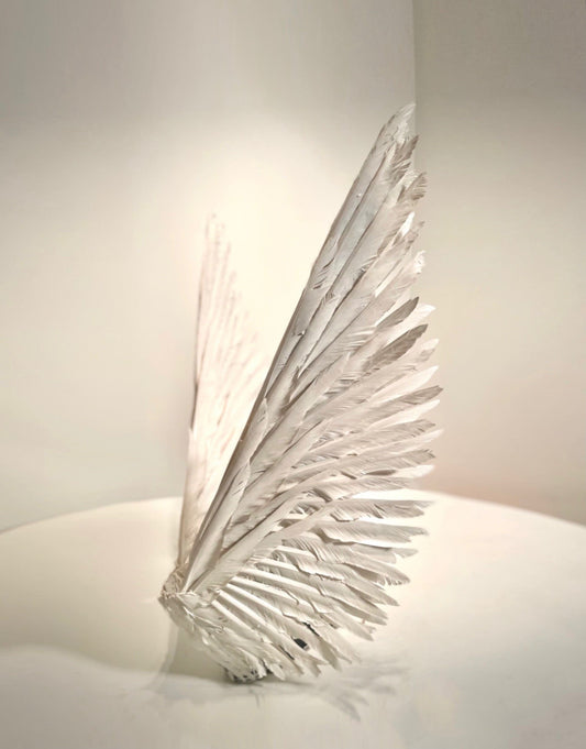 Gold Angel Feather Wings – BIHBI