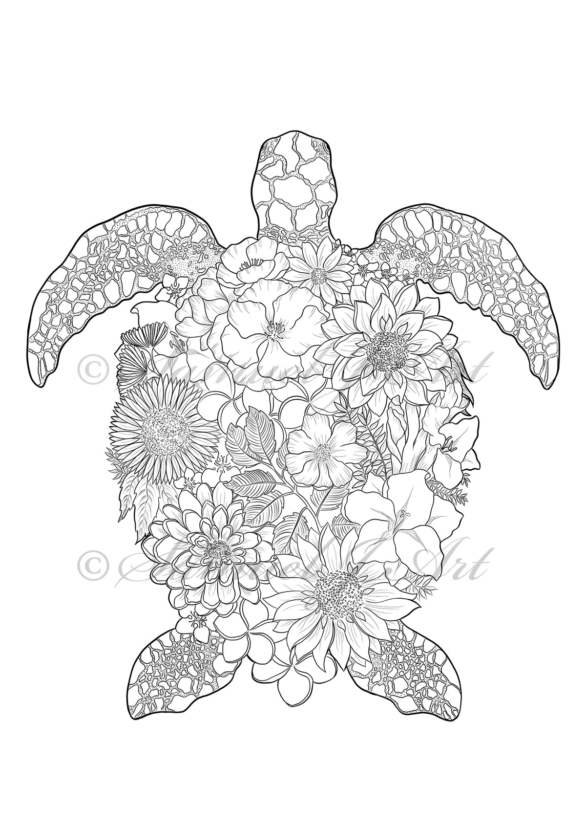 Download Floral Turtle - Colouring Template — Samuel J Art