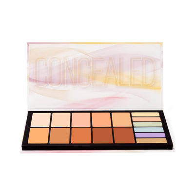 coastal scents concealer palette