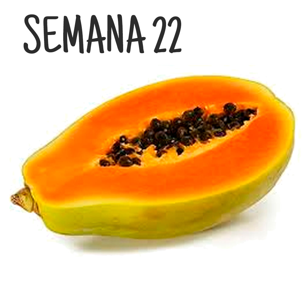 semana de embarazo 22