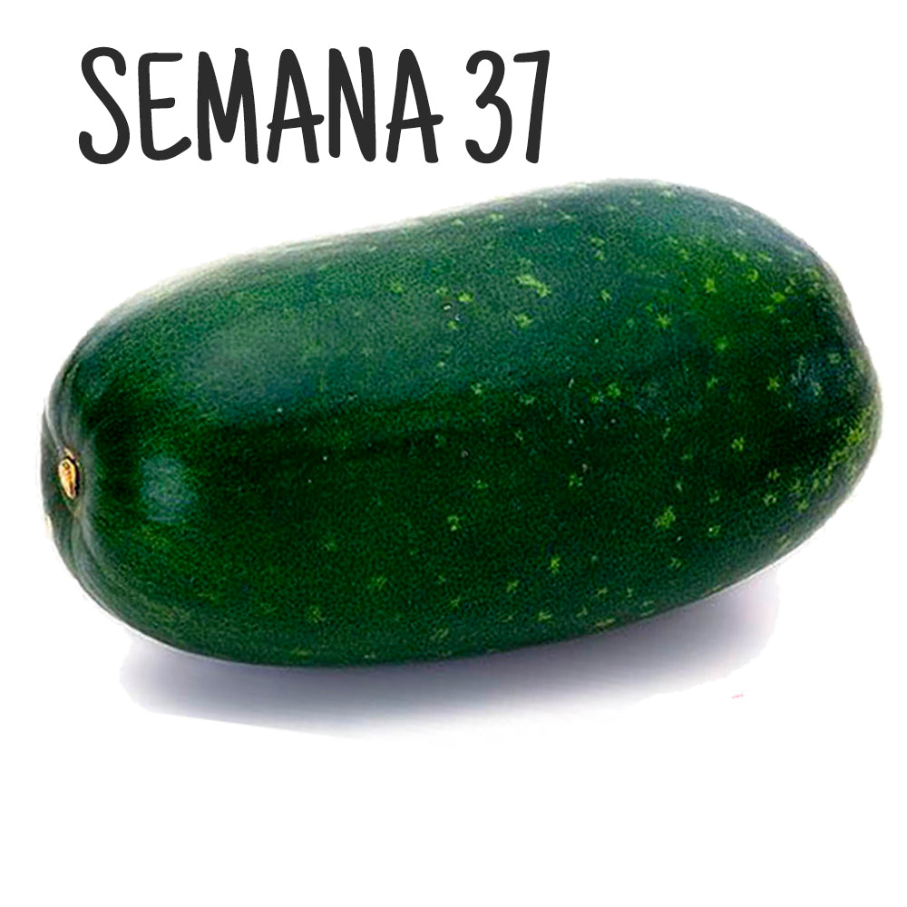 semana de embarazo 37