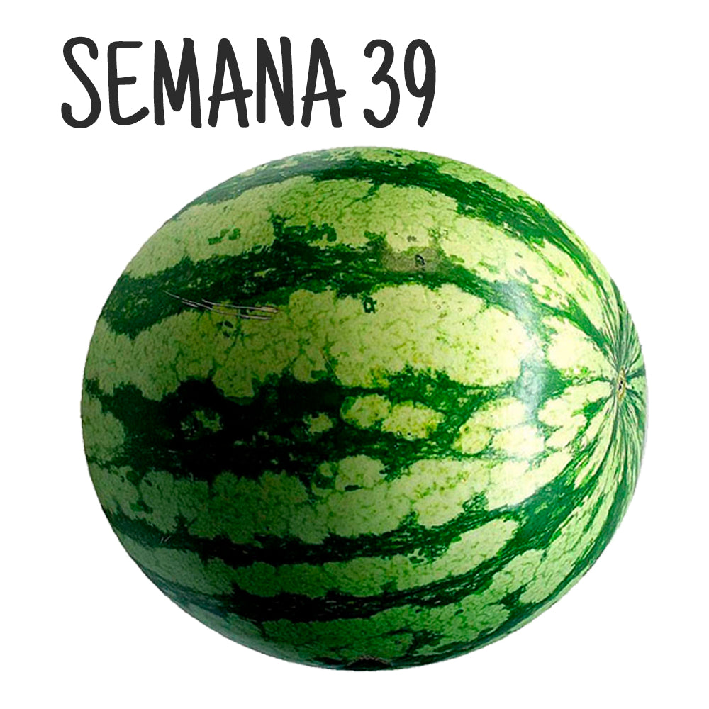 semana de embarazo 39