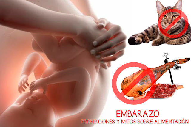 alimentos prohibidos mitos alimentación embarazo blog mimuselina