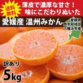 愛媛みかん 5kg（訳あり）