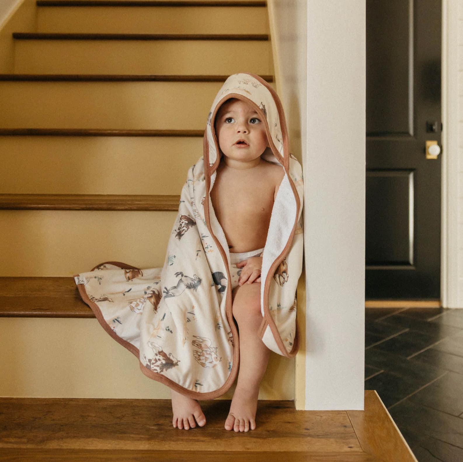 Horse-Bath Towel