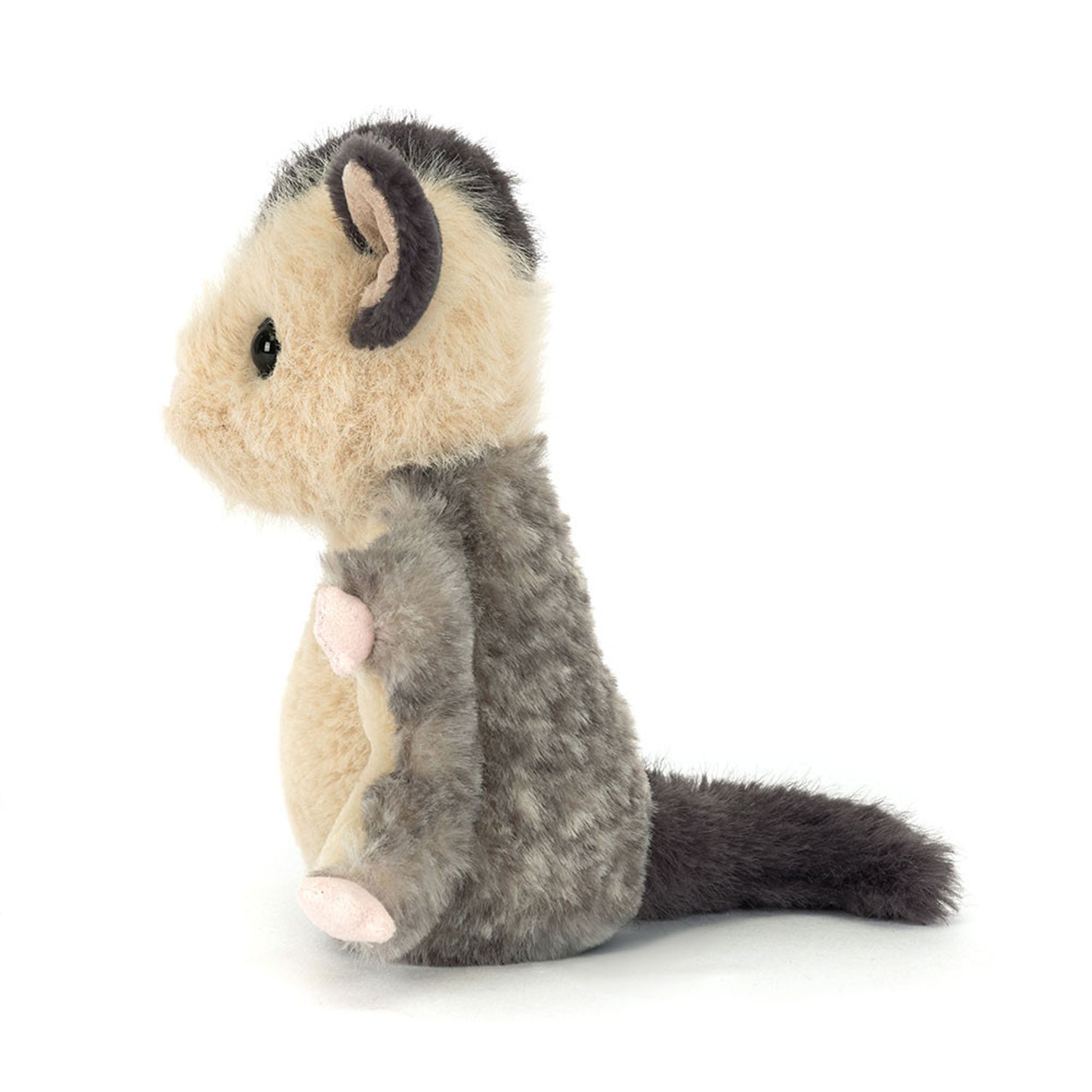 Lolly Sugar Gliders