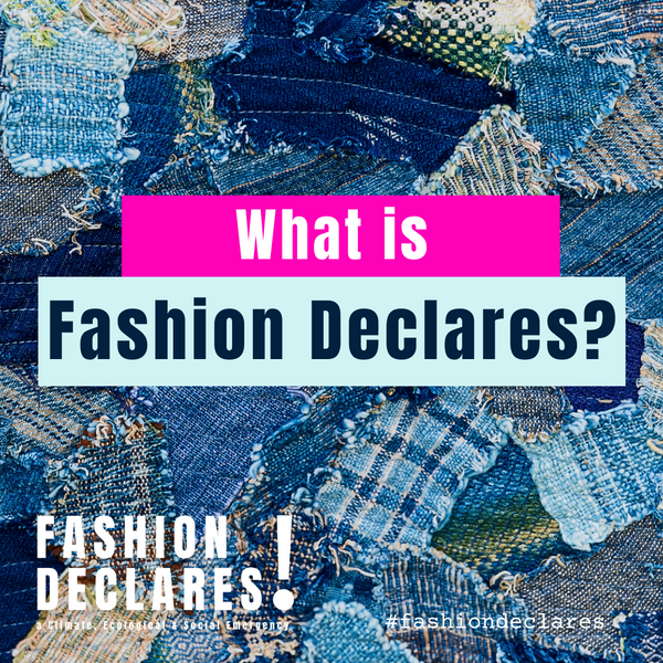 Fashion Declares image