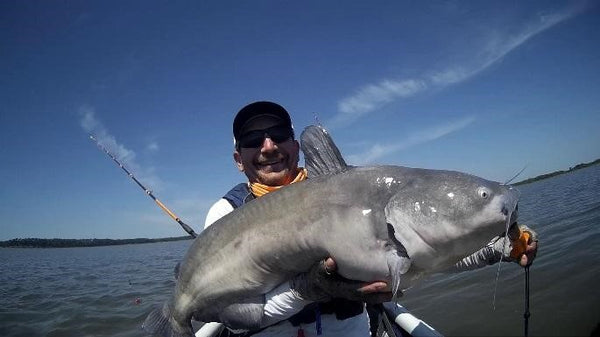 Fisher holding up catfish