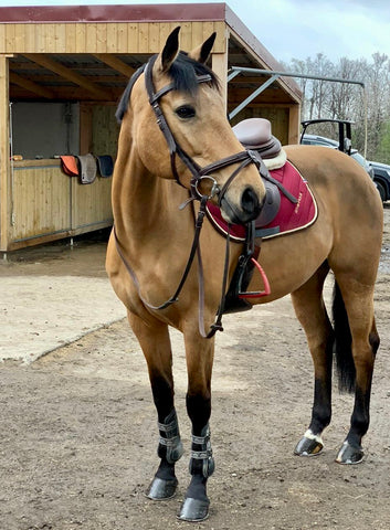 Tapis de selle : quel modèle choisir ? – Athippique