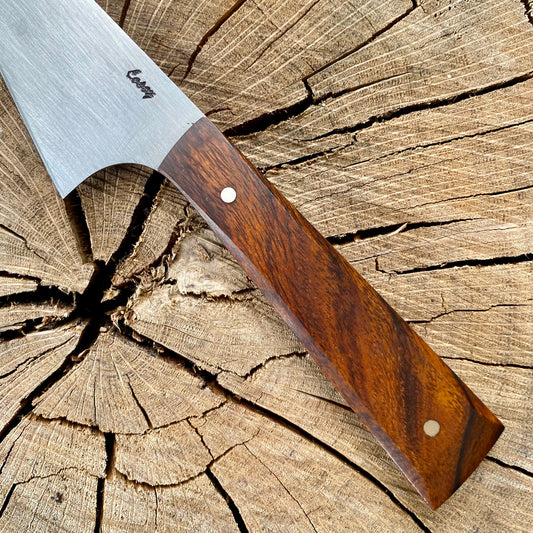 Savannah Paring Knife Combo Kit - DIY Blade w/Bloodwood Scales