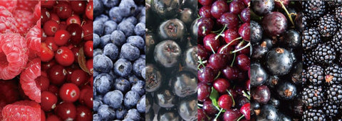 7 rodzajów ekstraktów z owoców jagodowych