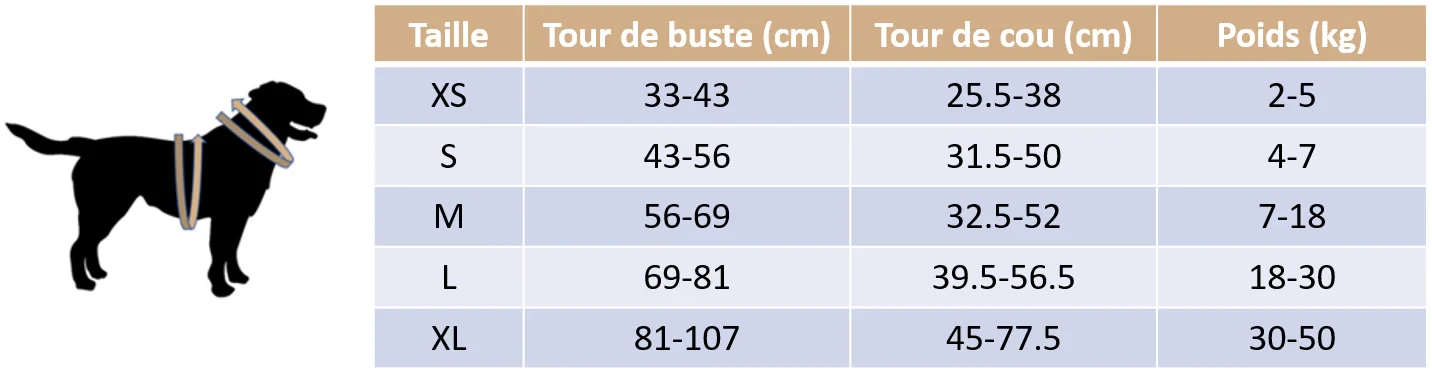 Guide des tailles de notre harnais anti traction pour chien - Edition Floral