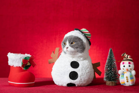 Costume bonhomme de neige pour chat