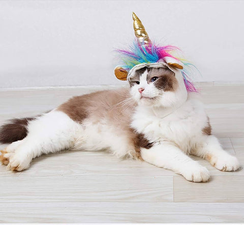 Déguisement de licorne pour chat