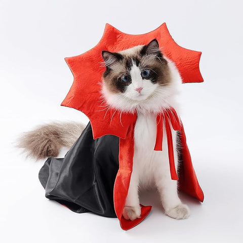 Déguisement Dracula pour chat