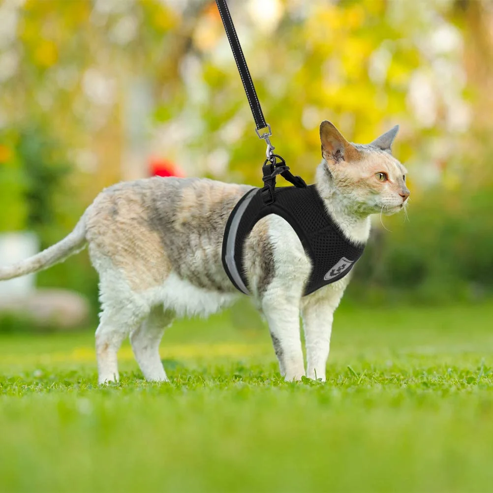 Conception ergonomique de notre harnais réfléchissant pour chat et petit chien