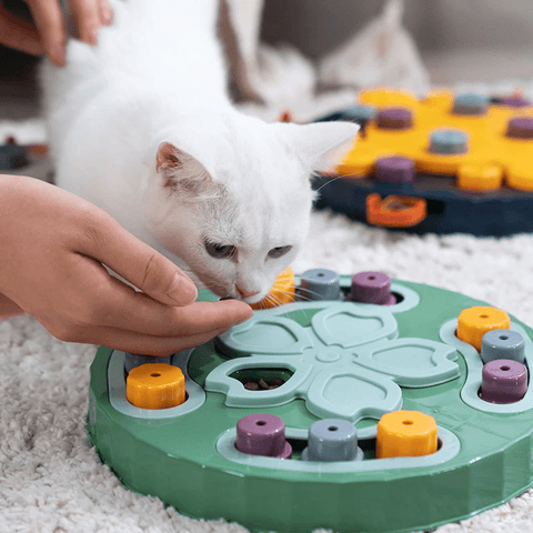 Puzzle anti-glouton interactif pour chat et chien