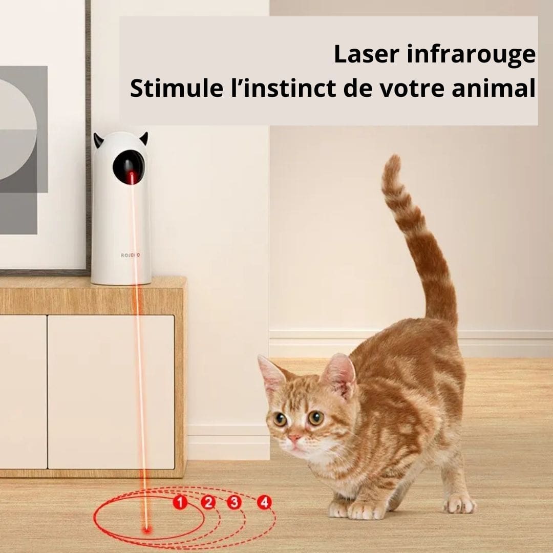 Lazer infrarouge qui stimule l'instinct de chasse de son chat