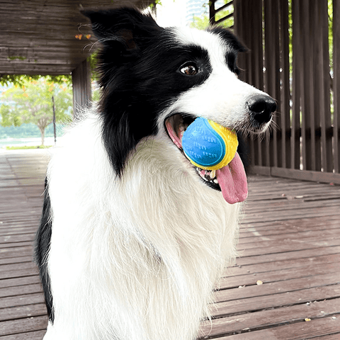 Balle à mâcher interactive pour chien résistante