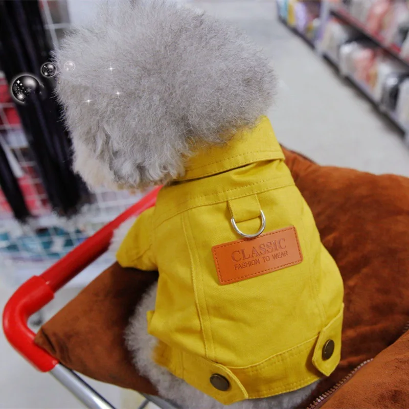 Style et élégance avec notre veste Denim de printemps pour chien