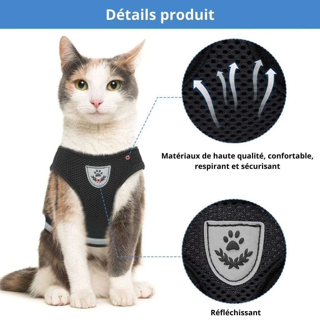 Harnais réfléchissant ajustable et respirable pour chat et petit chien