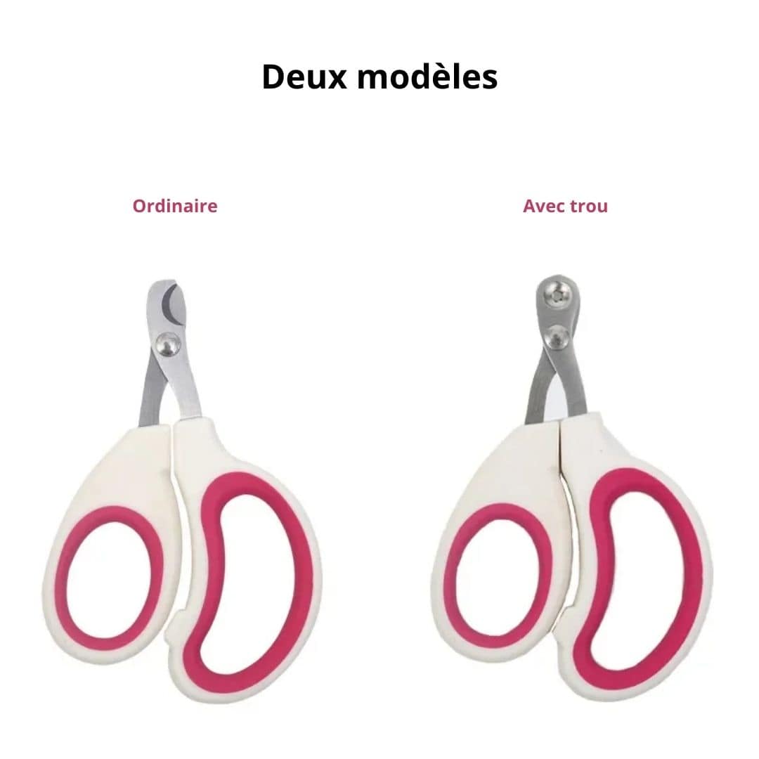 Deux types de ciseaux et deux coloris disponibles