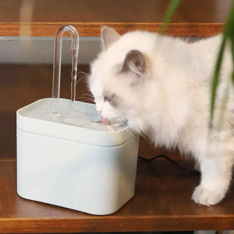 fontaine à eau pour chat qui incite à boire
